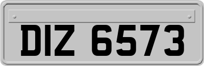 DIZ6573