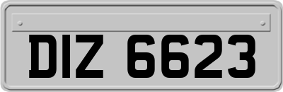 DIZ6623