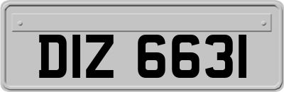 DIZ6631