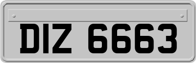 DIZ6663