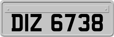 DIZ6738