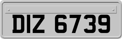 DIZ6739