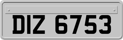 DIZ6753