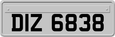 DIZ6838