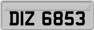 DIZ6853