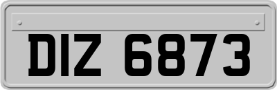 DIZ6873