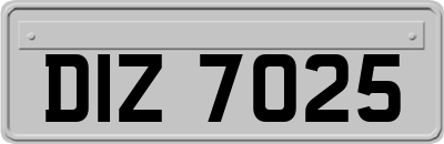 DIZ7025