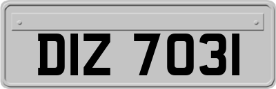 DIZ7031