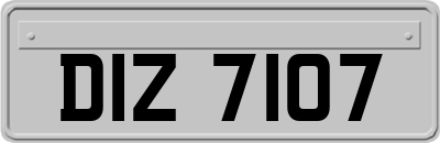 DIZ7107