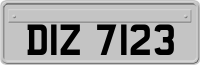 DIZ7123