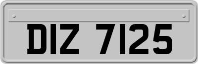 DIZ7125