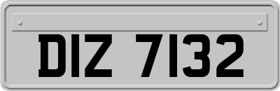 DIZ7132