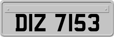 DIZ7153