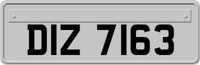 DIZ7163