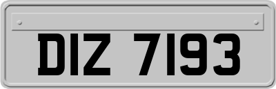 DIZ7193