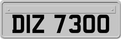DIZ7300