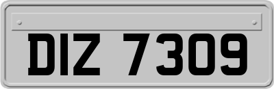 DIZ7309