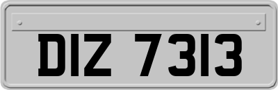 DIZ7313