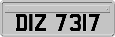 DIZ7317