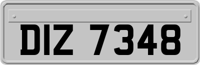 DIZ7348