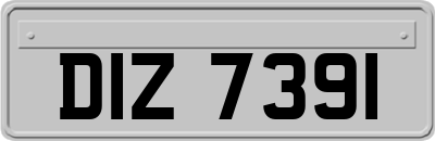DIZ7391