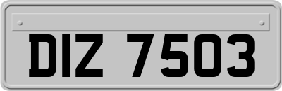 DIZ7503