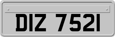 DIZ7521