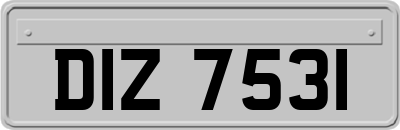 DIZ7531