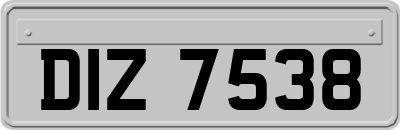 DIZ7538