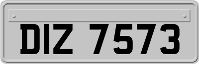 DIZ7573