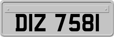 DIZ7581