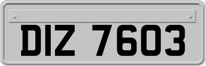 DIZ7603