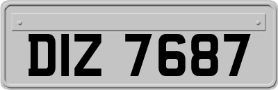 DIZ7687
