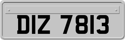 DIZ7813