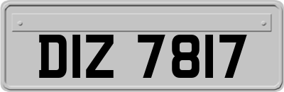 DIZ7817