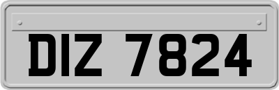 DIZ7824
