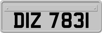 DIZ7831