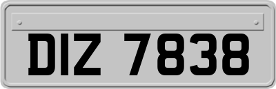 DIZ7838