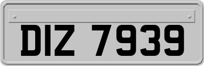 DIZ7939