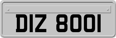 DIZ8001