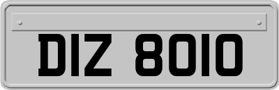 DIZ8010