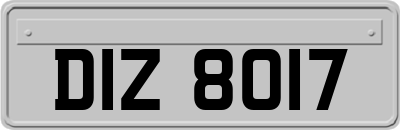 DIZ8017