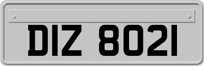 DIZ8021