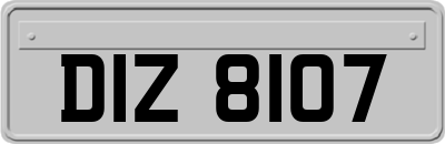 DIZ8107
