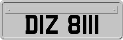 DIZ8111