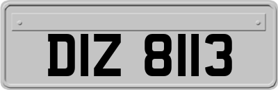 DIZ8113