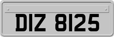 DIZ8125