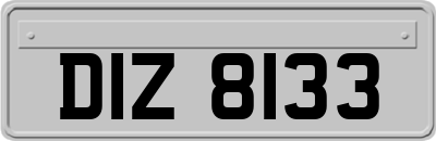 DIZ8133