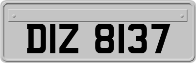 DIZ8137