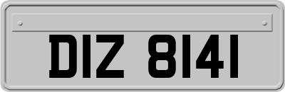 DIZ8141